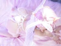 Alice Delish Elf Angel Bunny Patreon