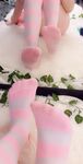 Alice Delish Full Snap June Patreon