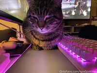 Spo0pykitten OF Nudes
