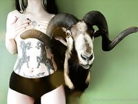 Naomih666 OF Photos